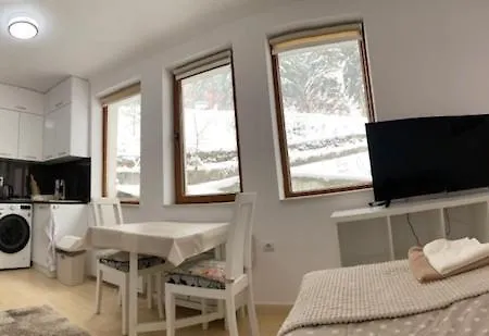 Lejlighed Ski-in Ski-out Studio, Grand Monastery, *